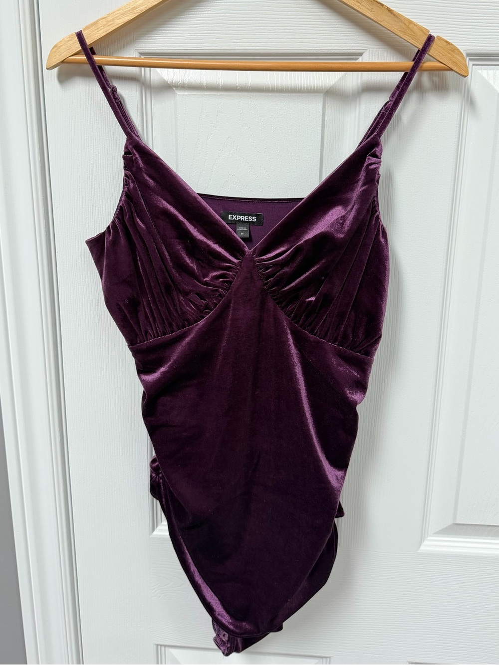 Express Velvet Bodysuit in Deep Plum